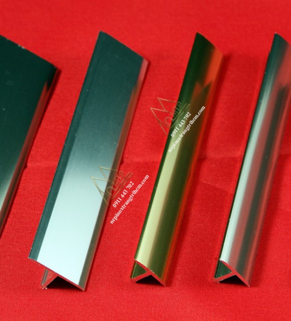 NẸP INOX T20MM