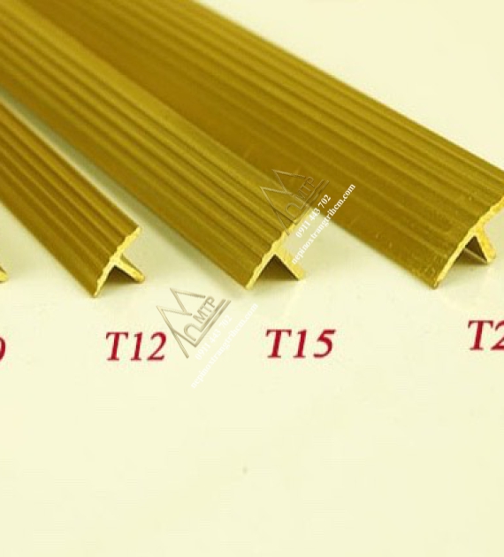 NẸP ĐỒNG T GÂN 